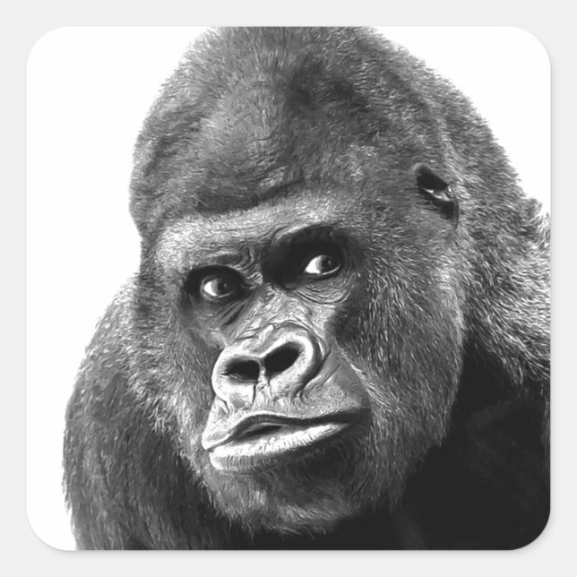 Black White Gorilla Square Sticker (Front)