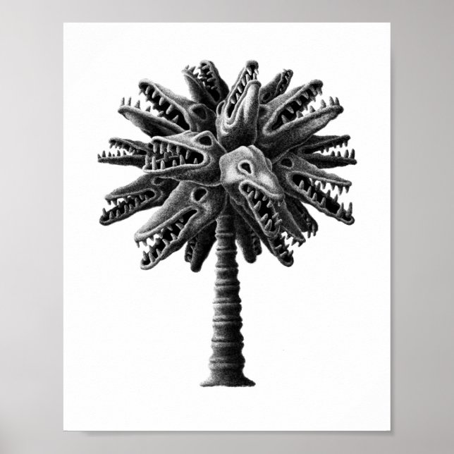 Black White Gothic Skulls Horror Palm Tree Poster (Front)