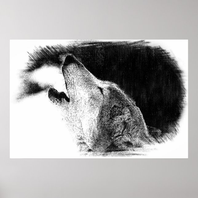 Black & White Gray Wolf Sketch Artwork Poster (Front)