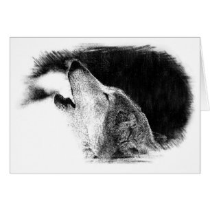 Black & White Grey Wolf Sketch Artwork