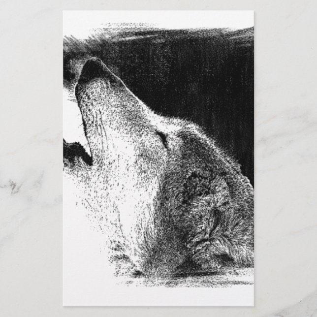Black & White Grey Wolf Sketch Artwork (Front)