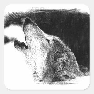 Black & White Grey Wolf Sketch Artwork Square Sticker