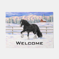 Black & White Gypsy Vanner Tinker Draught Horse
