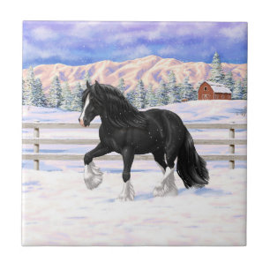 Black & White Gypsy Vanner Tinker Draught Horse Tile
