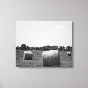 Black & White Hay Rolls Scattered on a Farm 16x20 Canvas Print