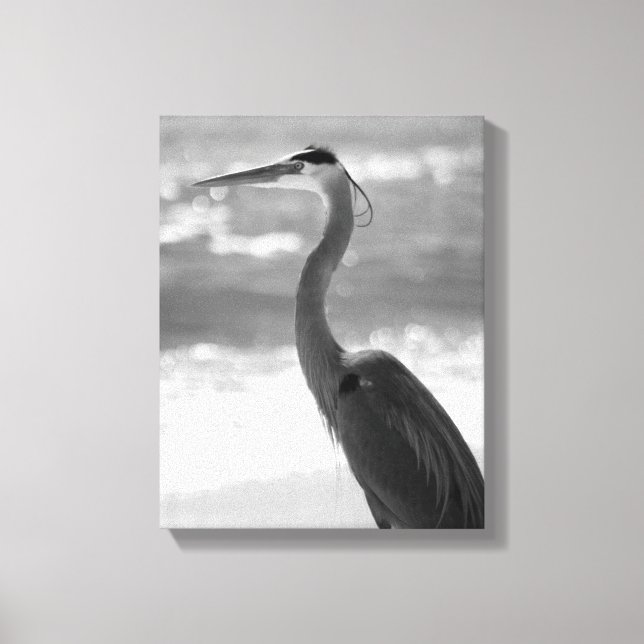 Black & White Heron on the Beach 11x14 Canvas Print (Front)