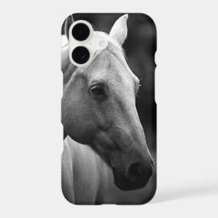 Black White Horse