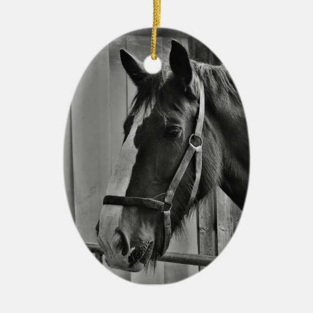 Black White Horse - Animal Photography Art Ceramic Ornament (Front)