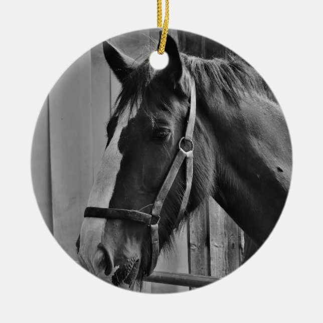 Black White Horse - Animal Photography Art Ceramic Ornament (Front)
