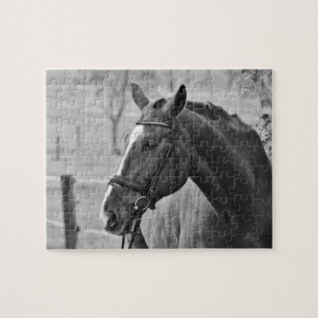 Black White Horse - Animal Photography Art Jigsaw Puzzle (Horizontal)
