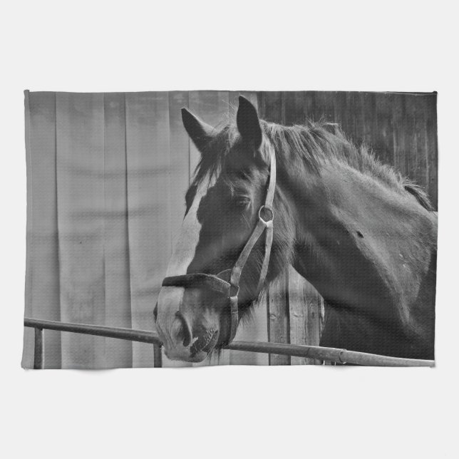 Black White Horse - Animal Photography Art Kitchen Towel (Horizontal)