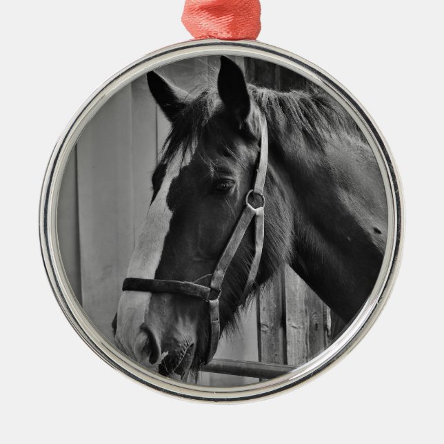 Black White Horse - Animal Photography Art Metal Ornament (Front)