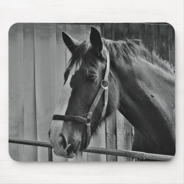 Black White Horse - Animal Photography Art Mouse Pad (Front)