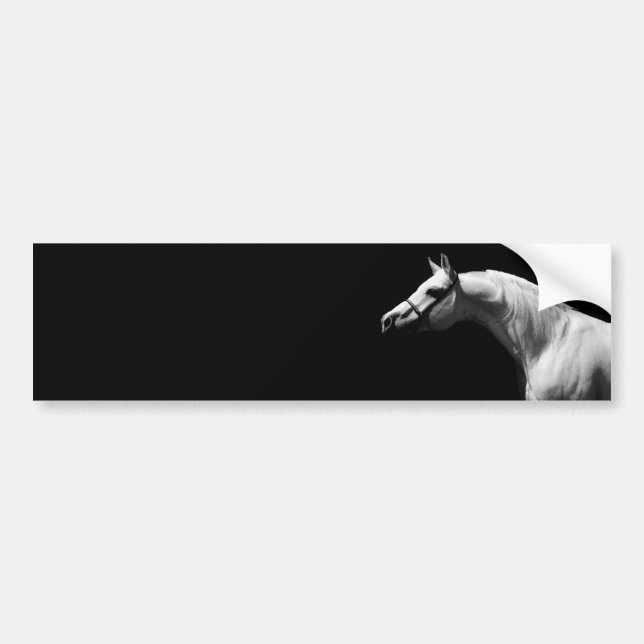 Black & White Horse Bumper Sticker (Front)