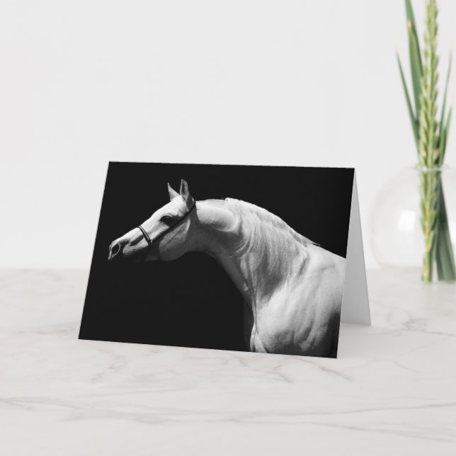 Black & White Horse Card (Front)