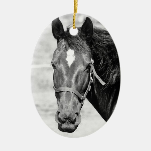 Black White Horse Ceramic Ornament (Front)