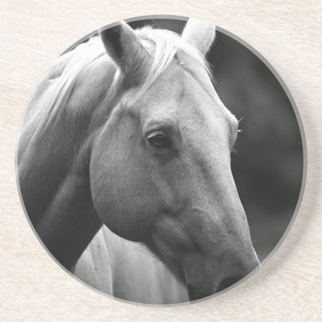 Black White Horse Coaster (Front)