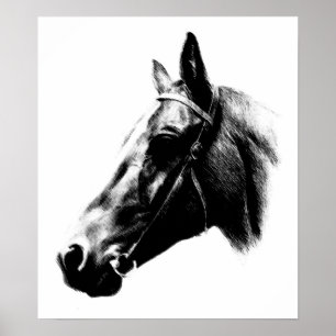 Black White Horse Drawing Artwork Poster