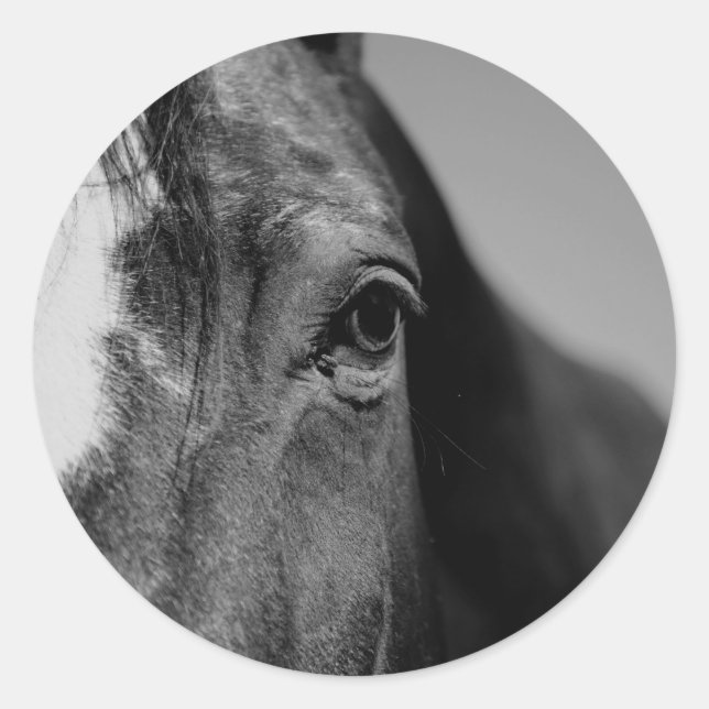 Black White Horse Eye Artwork Classic Round Sticker (Front)