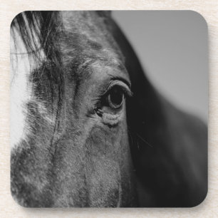 Black White Horse Eye Artwork Coaster