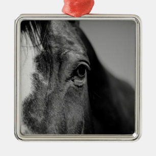 Black White Horse Eye Artwork Metal Ornament