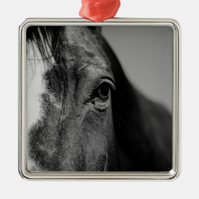 Black White Horse Eye Artwork Metal Ornament (Front)