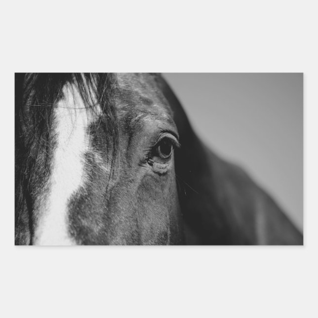 Black White Horse Eye Artwork Sticker (Front)
