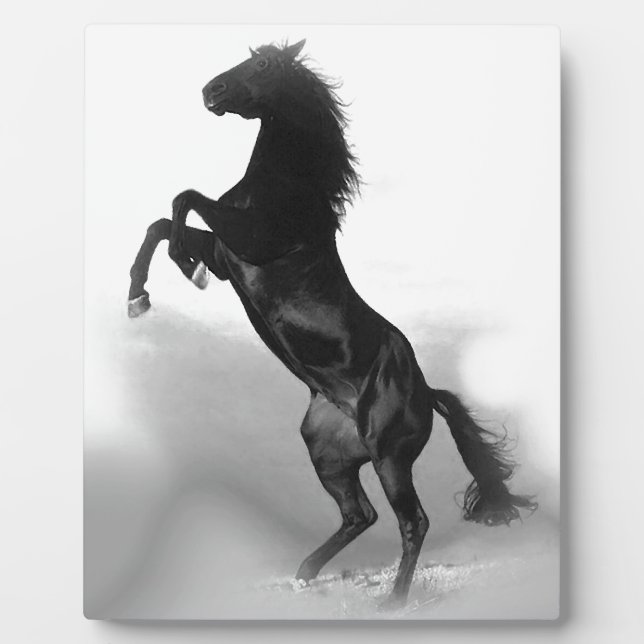 Black White Horse Plaque (Front)