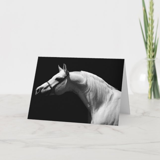 Black & White Horse Portrait Greeting Card (Front)