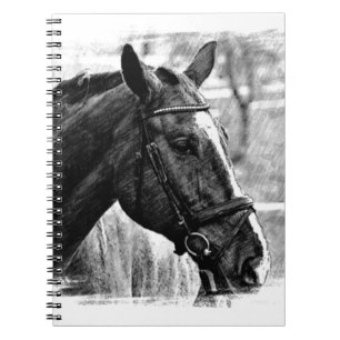 Black White Horse Sketch Notebook