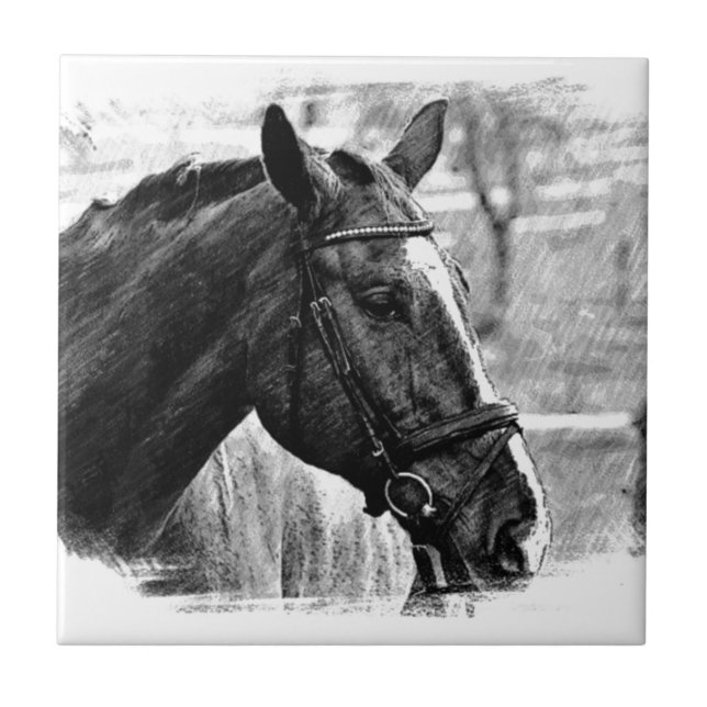 Black White Horse Sketch Tile (Front)