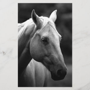 Black White Horse Stationery