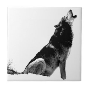 Black White Howling Wolf Tile