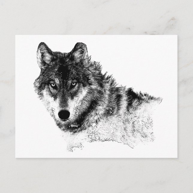 Black White Inspirational Wolf Eyes Postcard (Front)