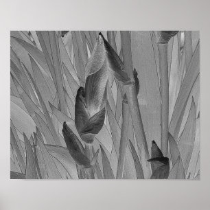 Black White Iris Flowers Poster d'art original