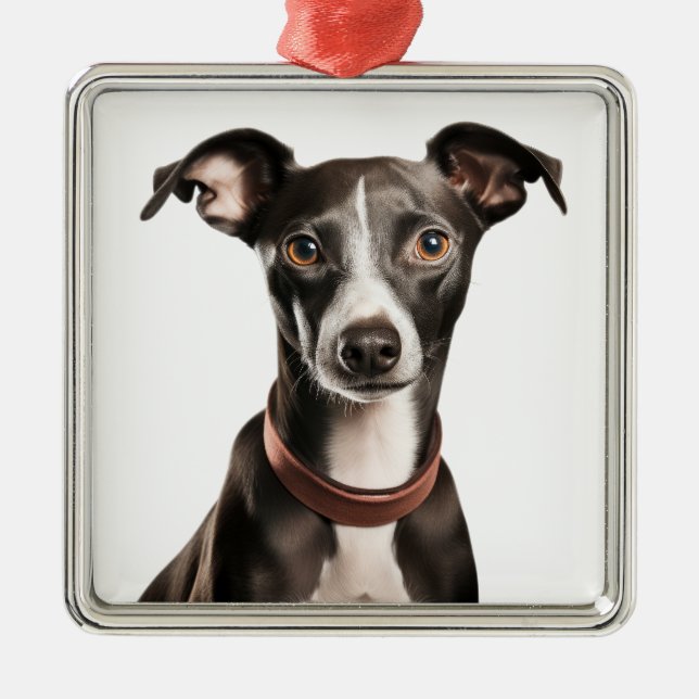 BLACK & WHITE ITALIAN GREYHOUND DOG METAL ORNAMENT (Front)