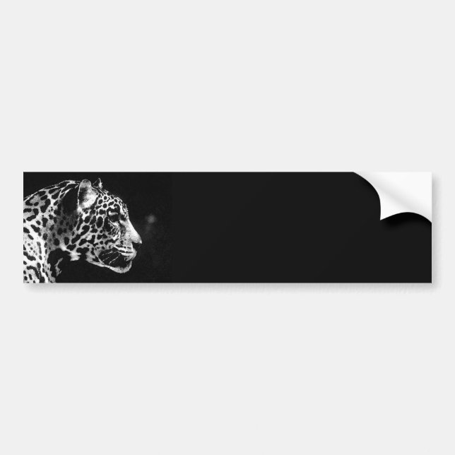 Black & White Jaguar Pop Art Bumper Sticker (Front)