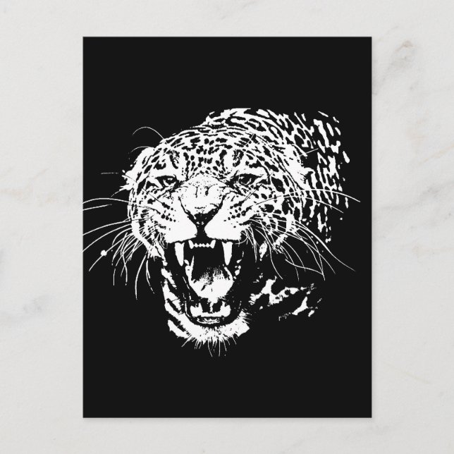 Black & White Jaguar Postcard (Front)