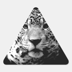 Black & White Jaguar Triangle Sticker