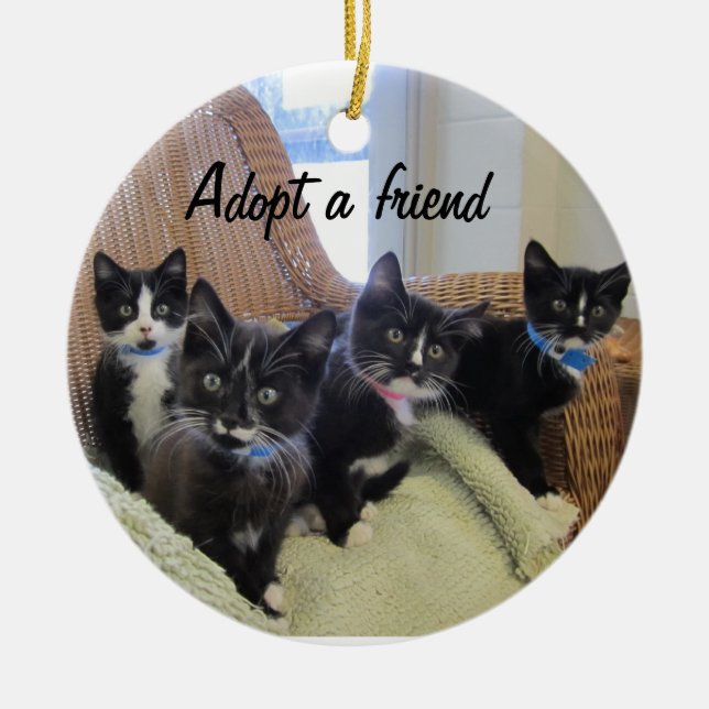Black & White Kittens Ceramic Ornament (Front)