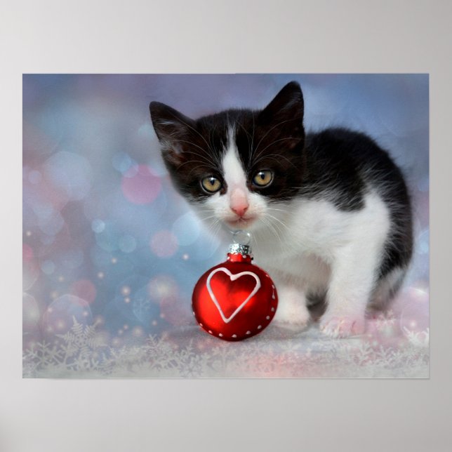 Black & White Kitty Cat Customizable Poster (Front)