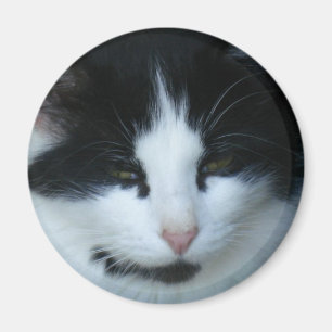 Black & White Kitty Cat Magnet