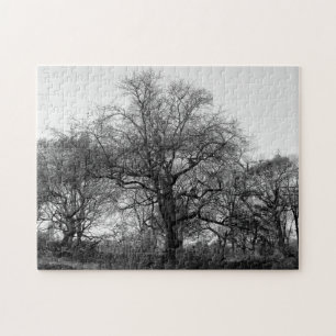 Black & White Landscape Winter Tree in Central Par Jigsaw Puzzle