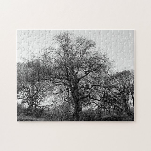 Black & White Landscape Winter Tree in Central Par Jigsaw Puzzle (Horizontal)