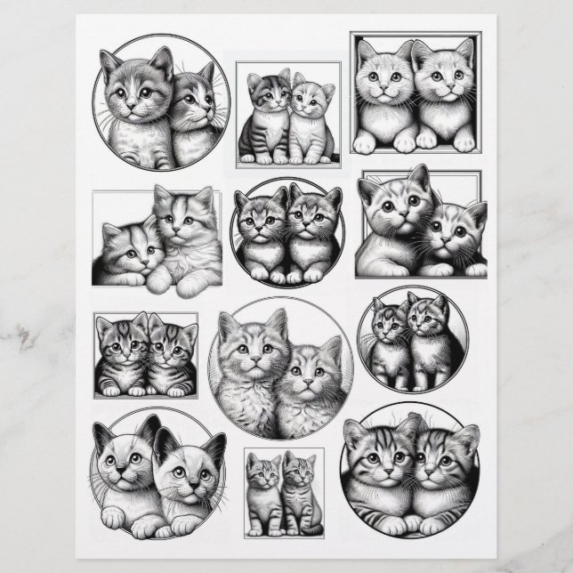 Black & White Line Art Drawings of Kitten Pairs (Front)