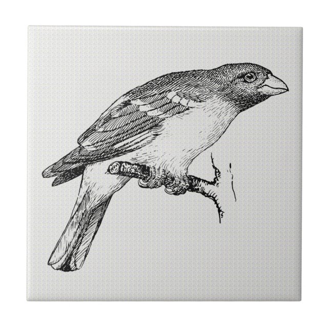 Black & White Line Drawing Bird Tile (Front)