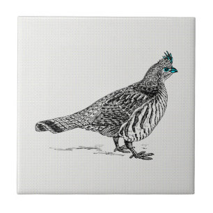 Black & White Line Drawing Wild Bird Tile
