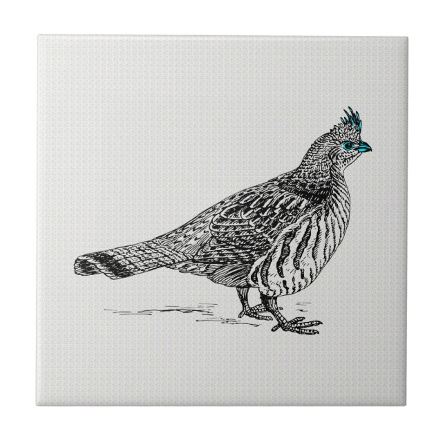 Black & White Line Drawing Wild Bird Tile (Front)