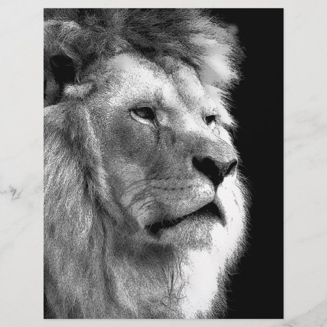Black White Lion (Front)