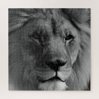 Black & White Lion Jigsaw Puzzle